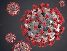 magnified image of novel coronavirus