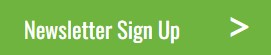 Newsletter Sign Up Button