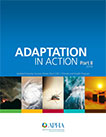Adaptation in Action Part 2 report cover