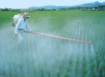 man spraying crops with pesticide