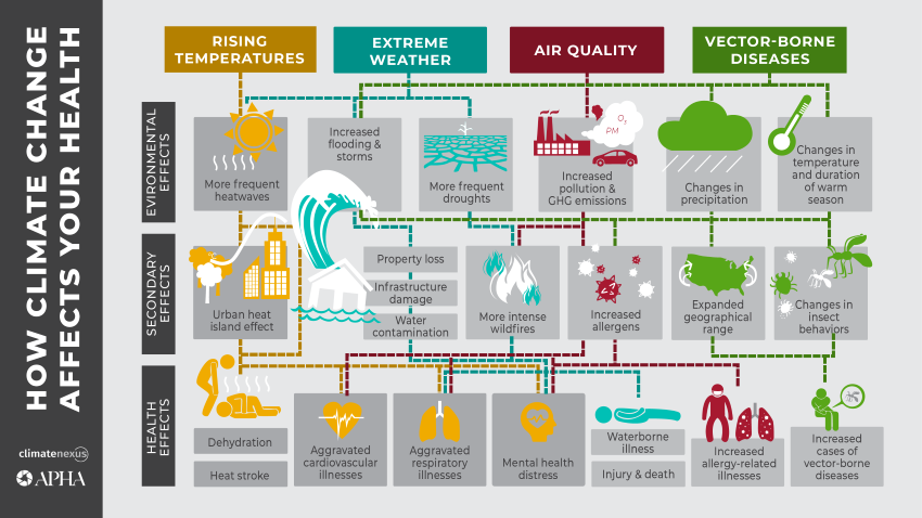 How Climate Change Affects Your Health