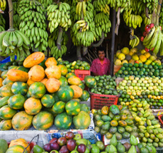 Outdoor fruit and produce stand